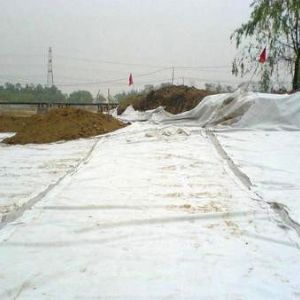 天津鹽堿地防滲復(fù)合膜焊接